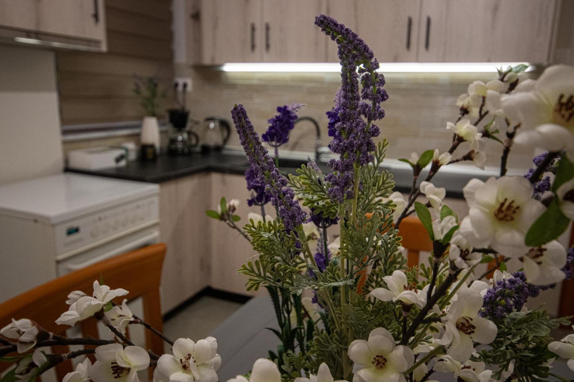 אלכסנדרופולי Axd Center Apartment מראה חיצוני תמונה